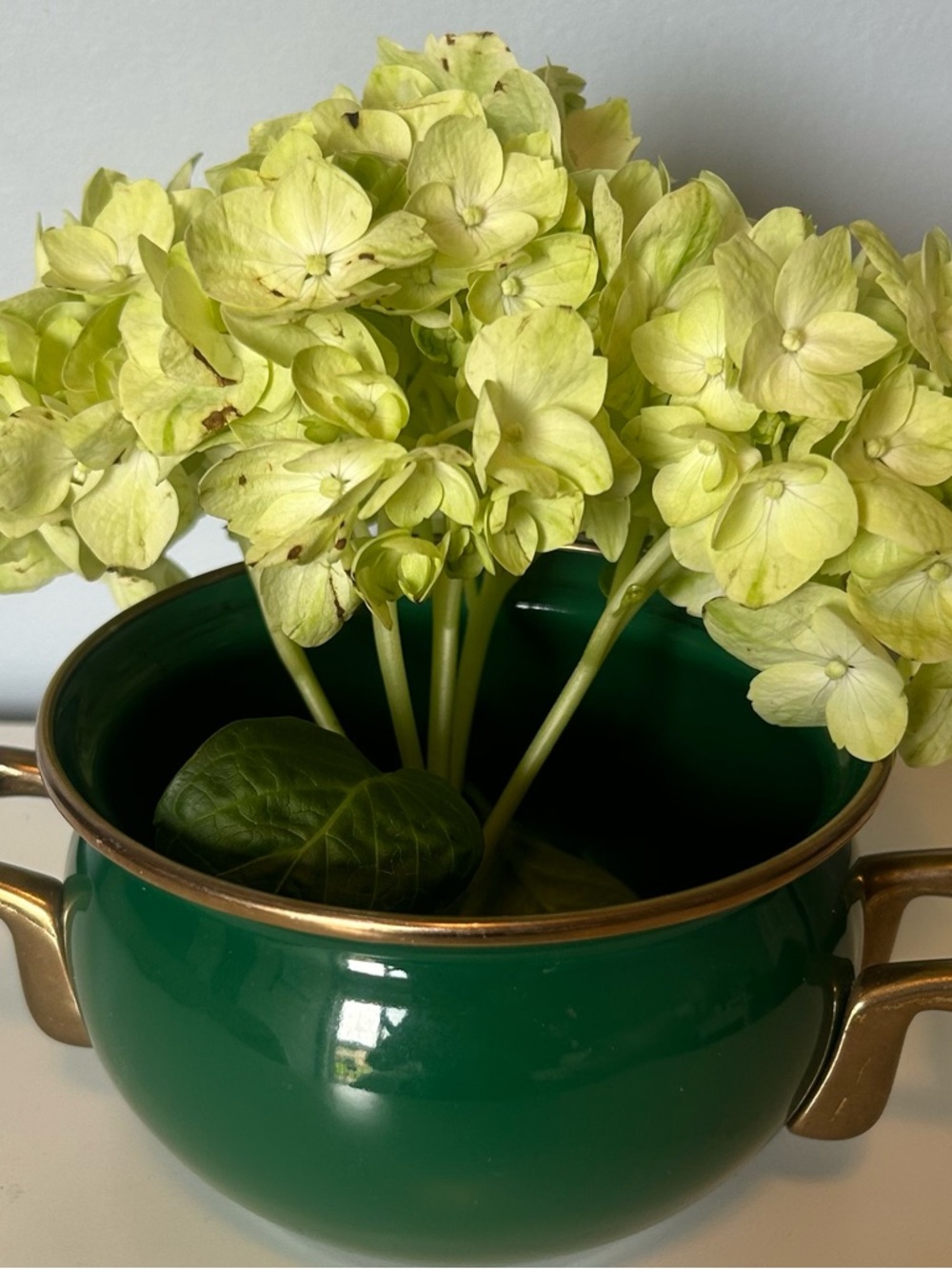 Vintage Green Enamel  Pot Bowl
Brass Handles Planter